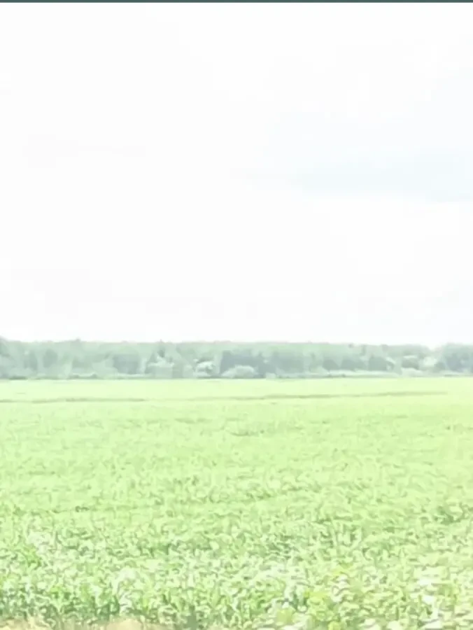 Ділянка біля Варшавської траси 46 соток, Бородянка 2