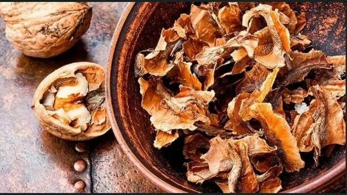 Перетинки волоського горіха