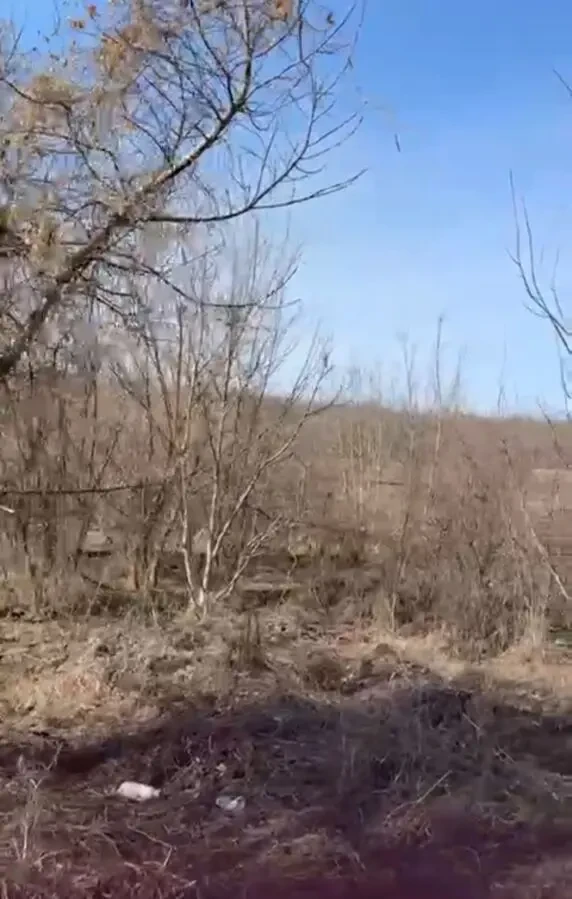 Продам учпсток в Ямбурге (Днепровое) 6