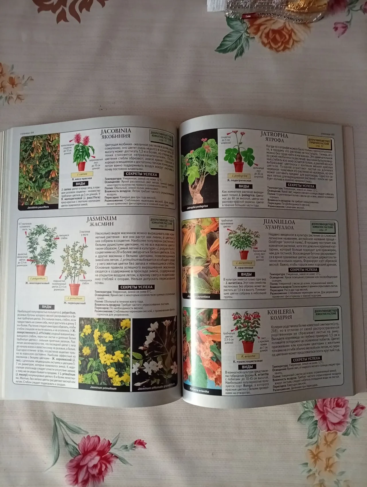 Большая иллюстрированная энциклопедия Все о комнатных растениях 7