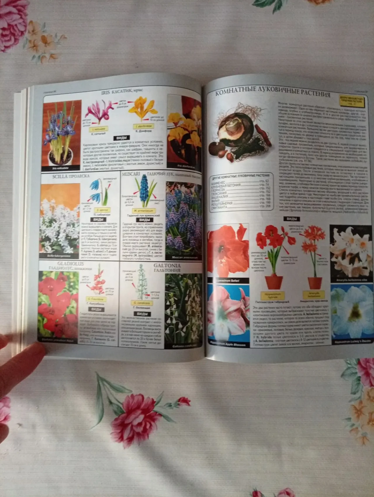 Большая иллюстрированная энциклопедия Все о комнатных растениях 3