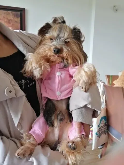 Комбінезон для собак 6