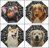 Парасолька з 3D малюнком