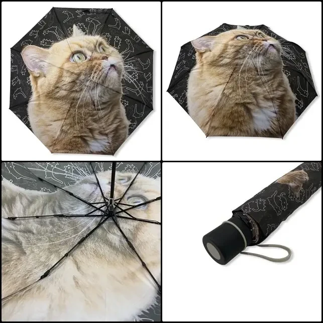 Парасолька з 3D малюнком 2