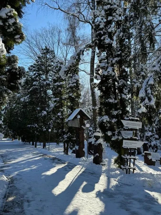 Ефективна програма оздоровлення для людей із цукровим діабетом 2 типу 9