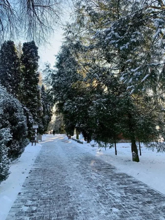 Ефективна програма оздоровлення для людей із цукровим діабетом 2 типу 8