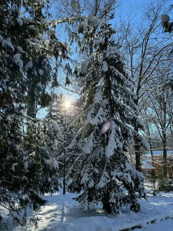 Ефективна програма оздоровлення для людей із цукровим діабетом 2 типу 10