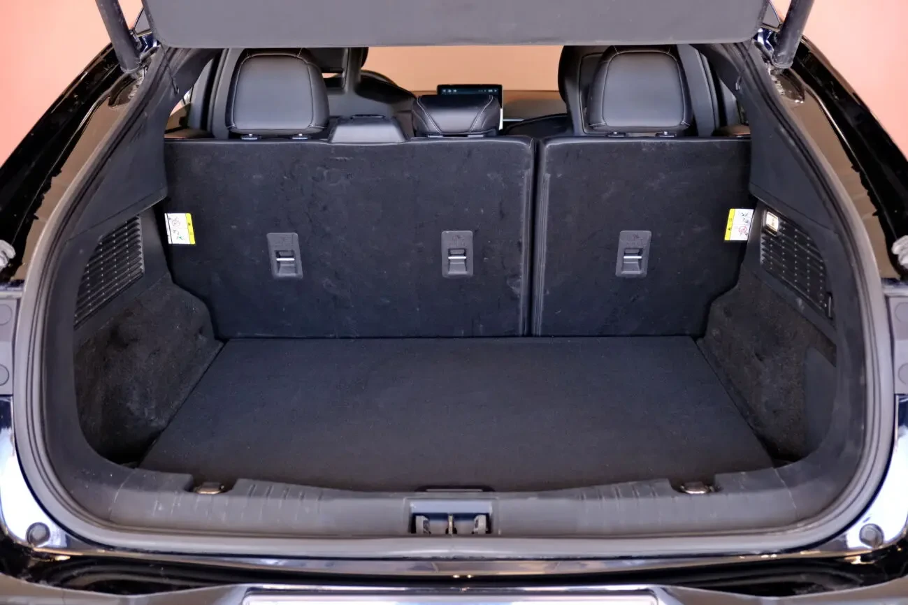 Ford Mustang Mach-E 9