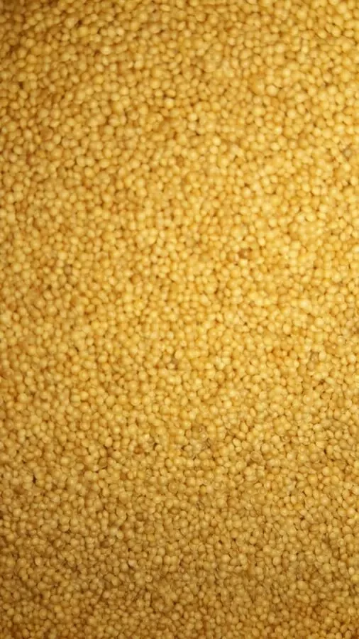 Продам  зерно Апарату