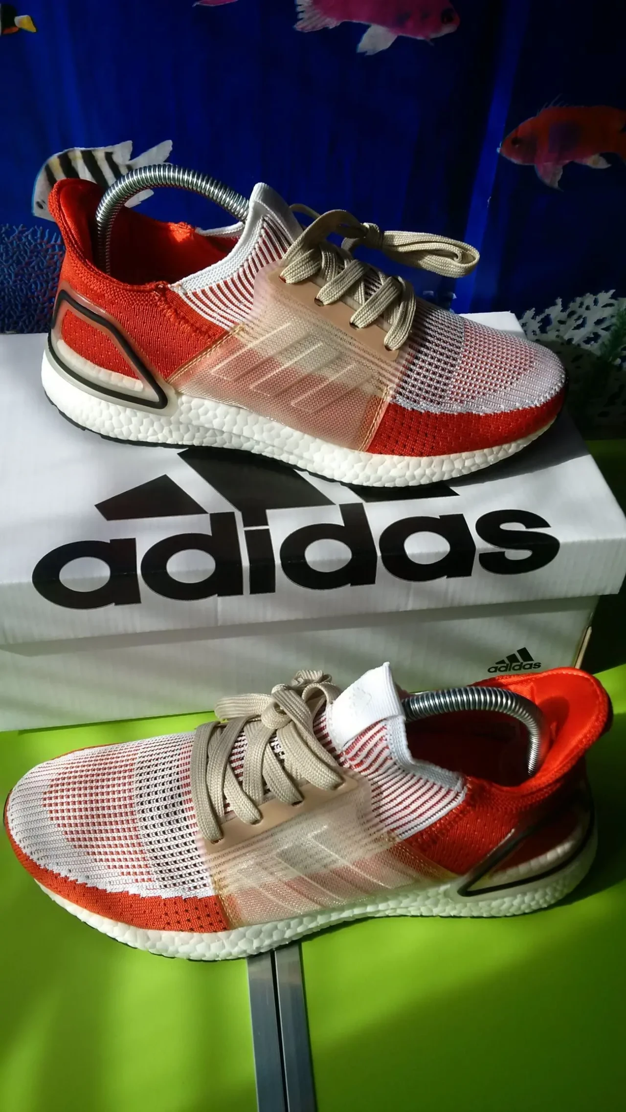 Жіночі кросівки Adidas Ultra BOOST 4