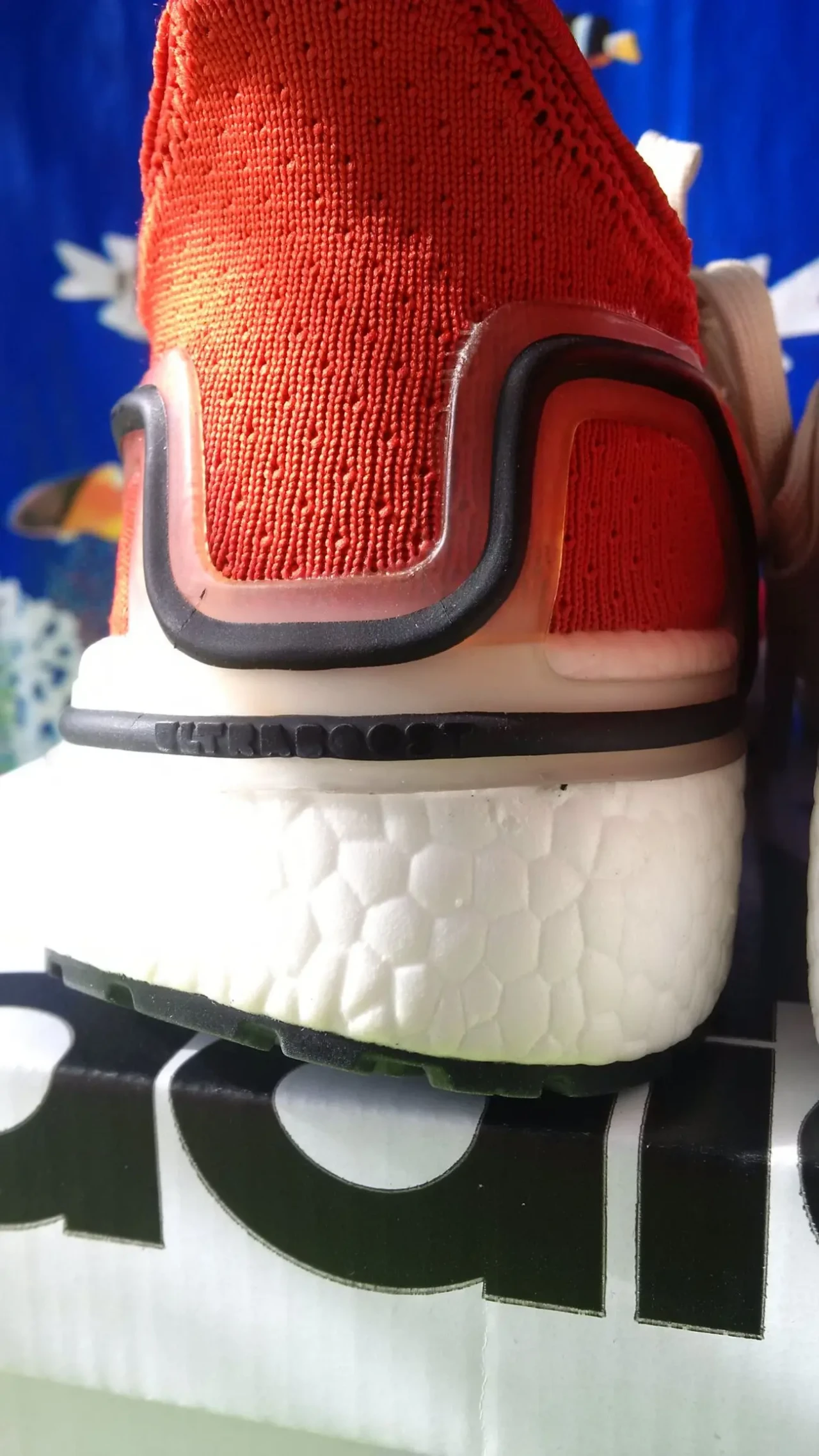 Жіночі кросівки Adidas Ultra BOOST 8