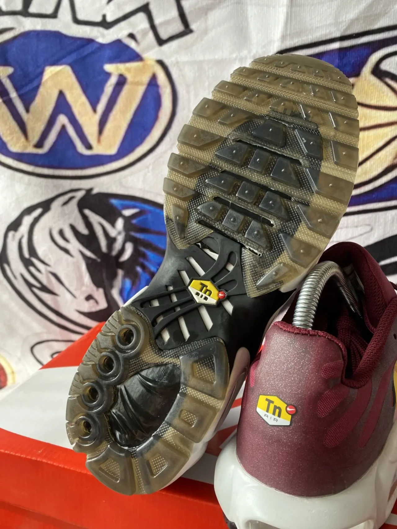 Жіночі кросівки Nike TN Air 6