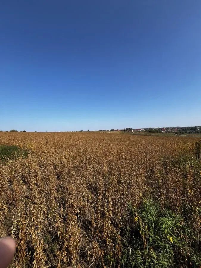 Земельна ділянка