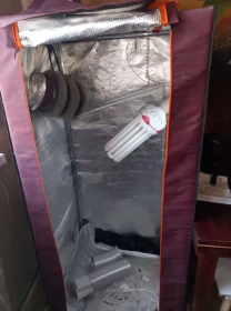 Продам гроубокс