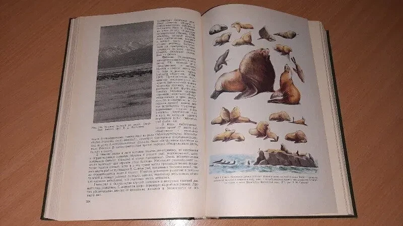 Енциклопедія. 2