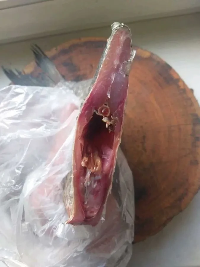 в'явлений малосольний лящ 2