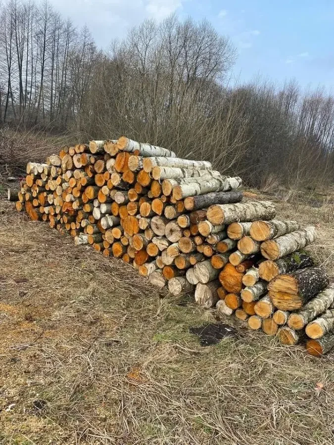 Продам Дрова з доставкою 5