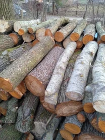 Продам Дрова з доставкою