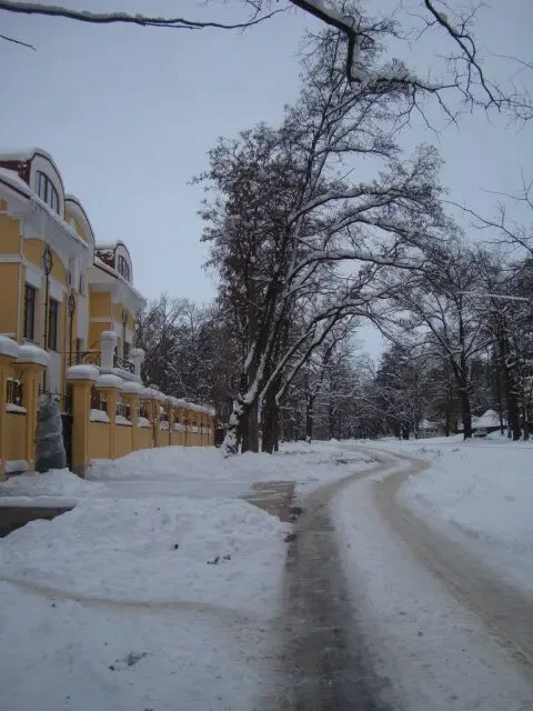 Продаж 40 сот Пуща Подиця,вул.Юнкерова 5