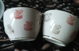 Посуда Чашка Чашки Полонский фарфоровый з-д тонкостенные Узоры 2 шт