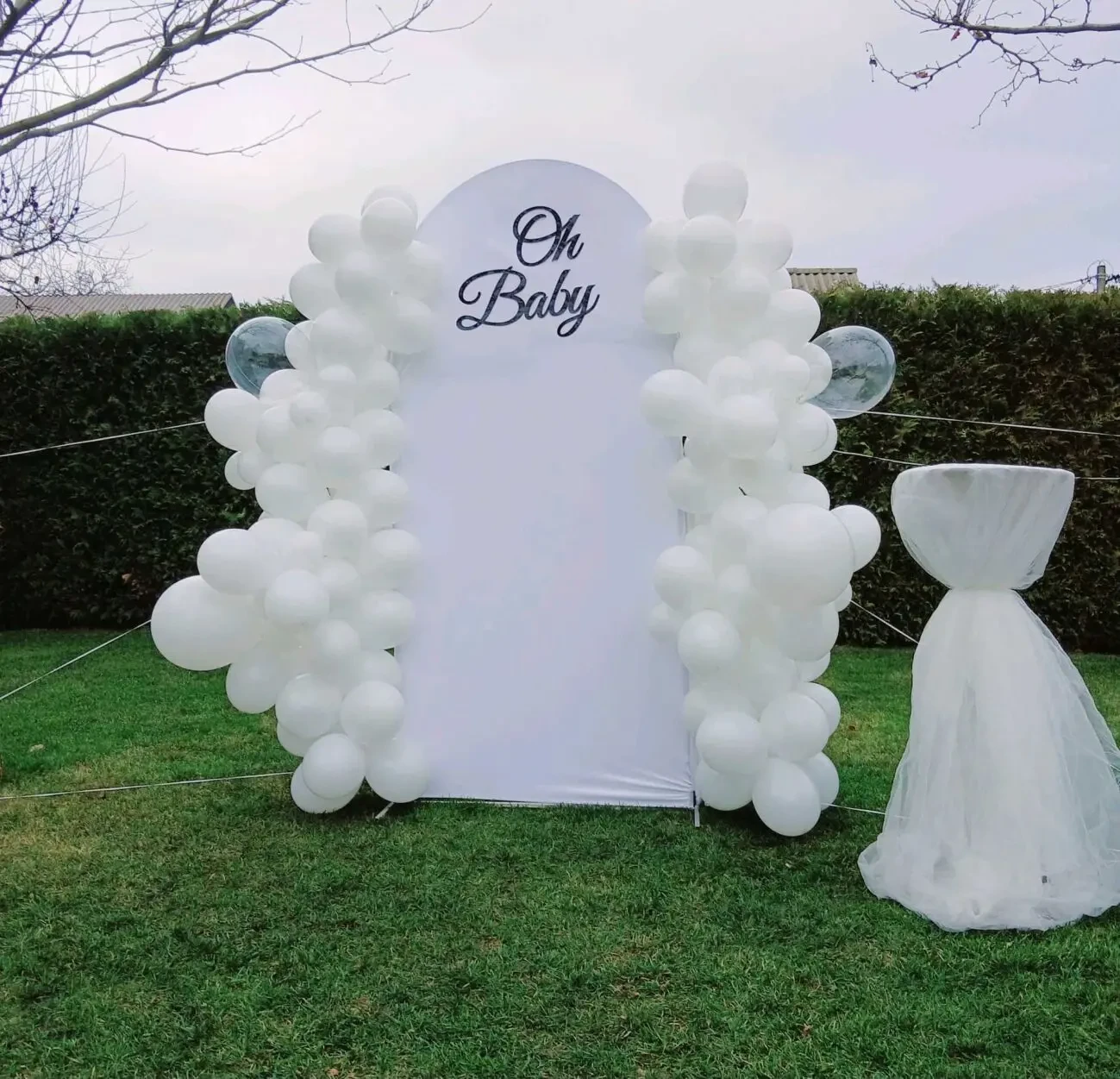 арка,фотозона (Вінниця )оренда 5