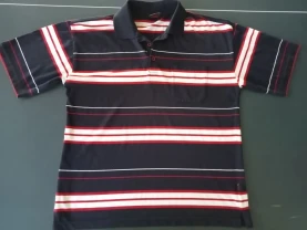 Поло в смужку чоловіча