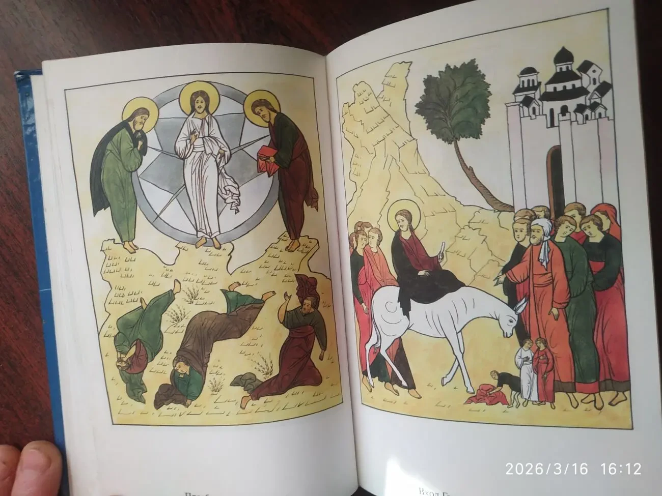 Детская библия в картинках 5