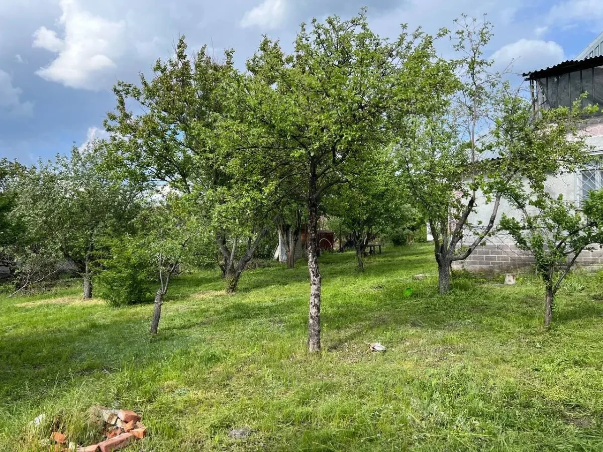 Дача 12 соток 7