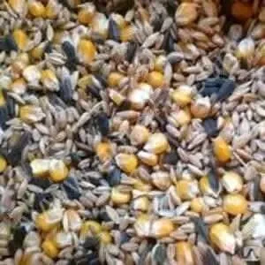 Зерносуміш 3