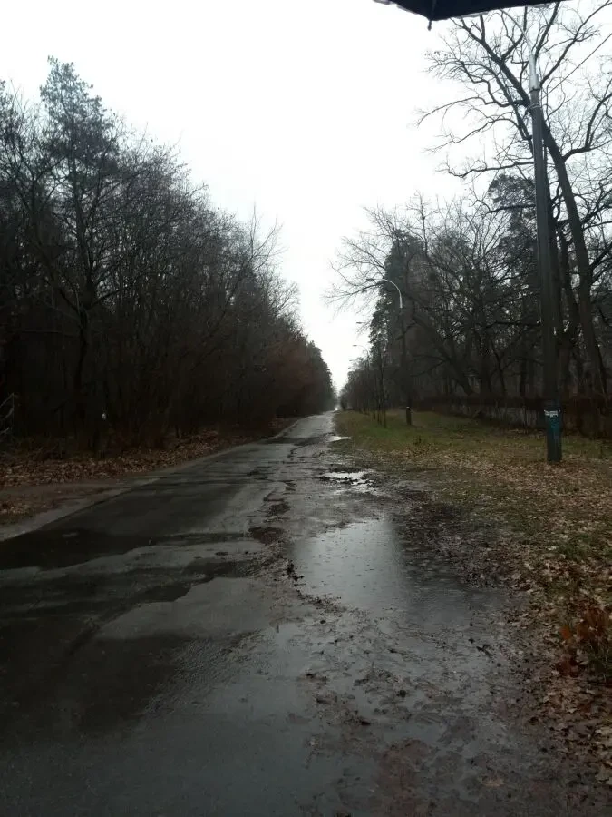 Продаж 20 сот Пуща Подиця,вул.Лісна 4