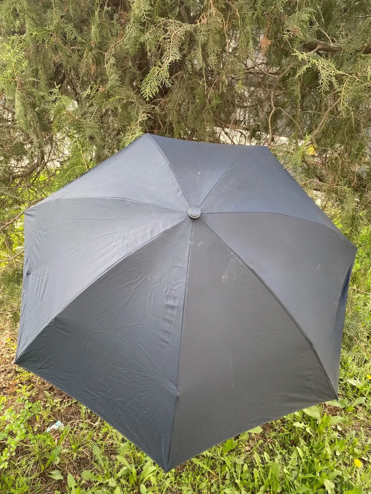 Парасолька (жіноча та чоловіча)