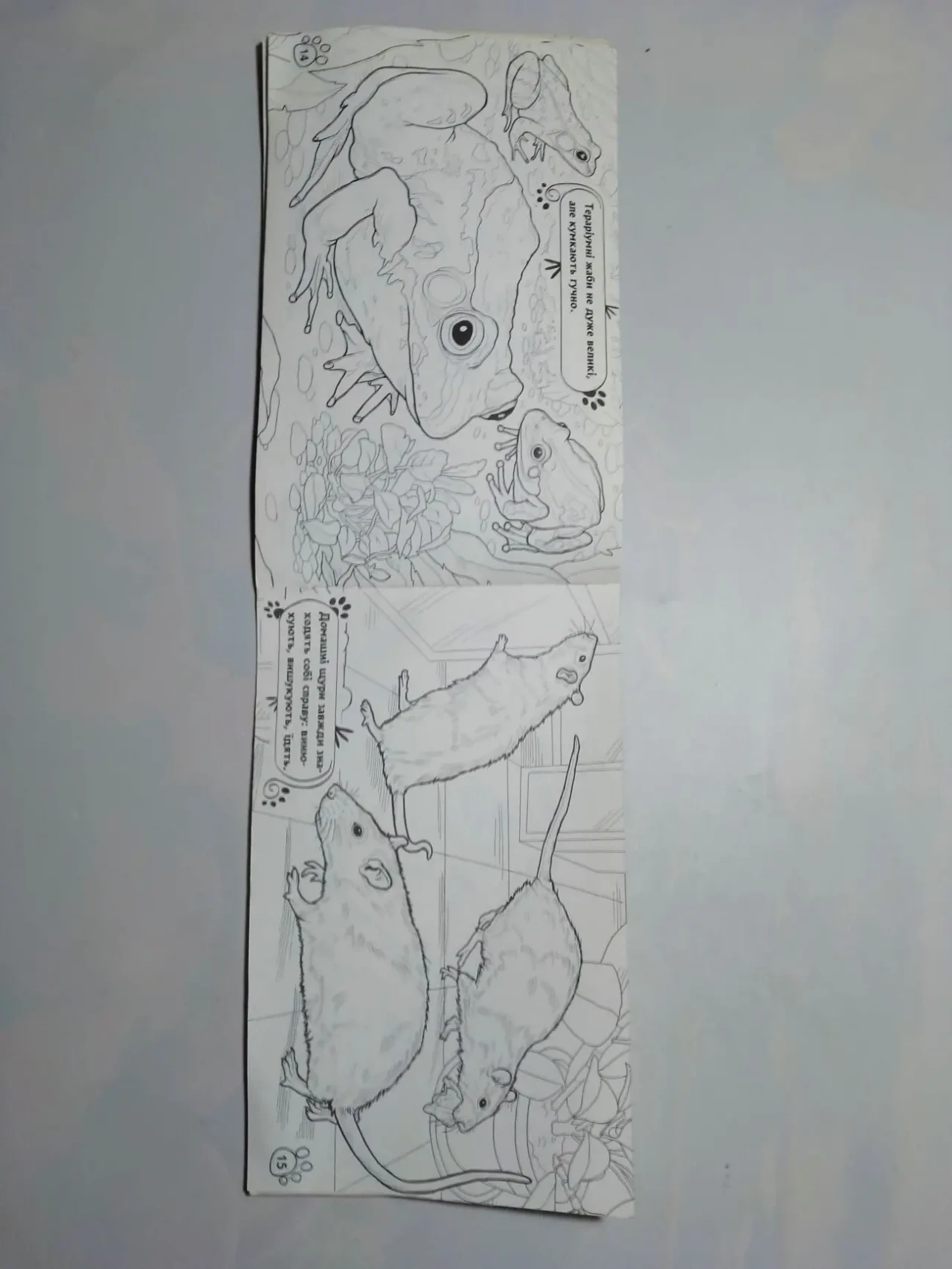 Книга животные тварини в оселі розмальовка и головоломки 5