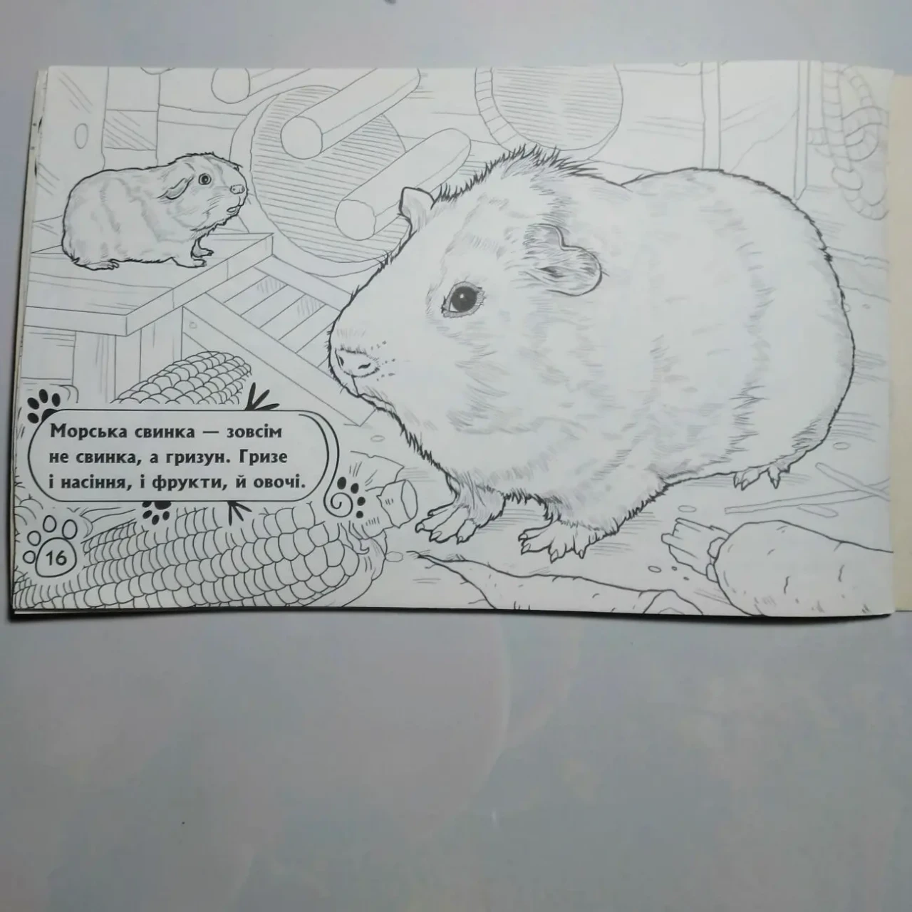Книга животные тварини в оселі розмальовка и головоломки 6