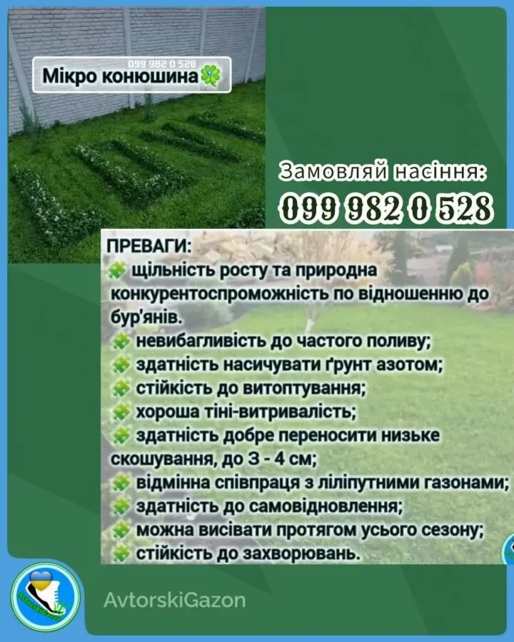 Конюшина біла Рівендел 1кг насіння клевер семена Ривендел Пиполина 5