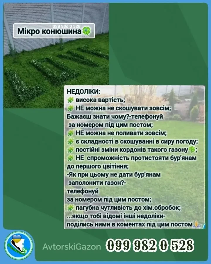 Конюшина біла Рівендел 1кг насіння клевер семена Ривендел Пиполина 4