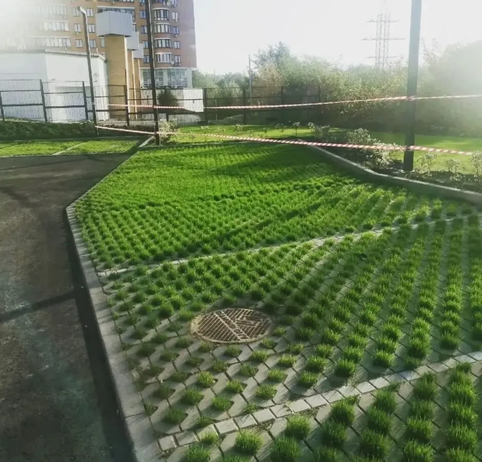 Насіння газону для ЕКО парковки 1кг газон ліліпут для георешетки 5