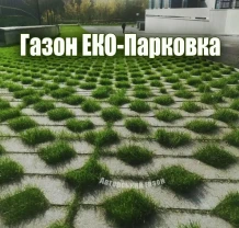 Насіння газону для ЕКО парковки 1кг газон ліліпут для георешетки