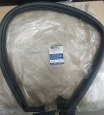 6001549469 Ущільнювач двері багажника