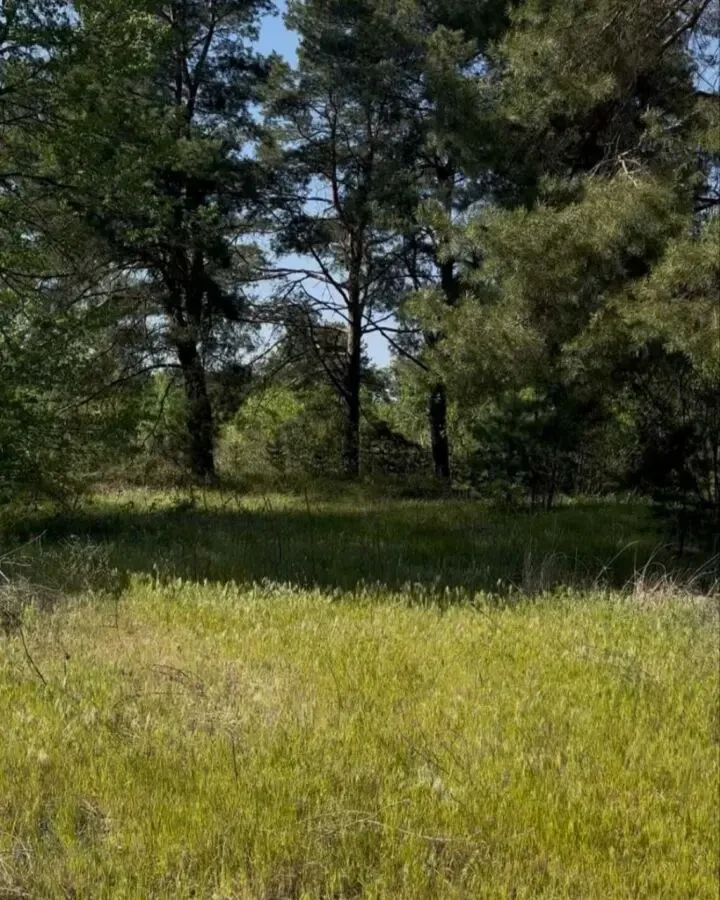 Продаж 9.63 сот с. Новосілки.ст Сонячне 7