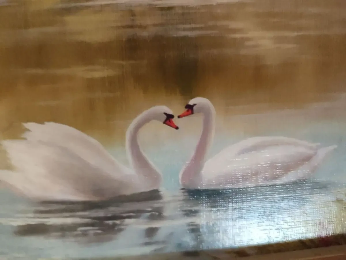 Картинка лебеди на озере 2