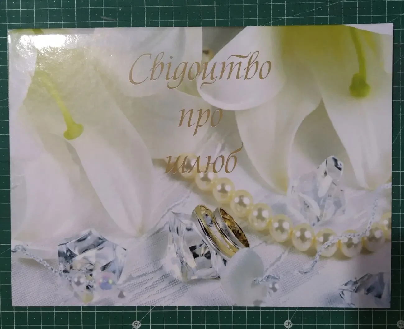 Обкладинка для Свідоцтва про народження 4