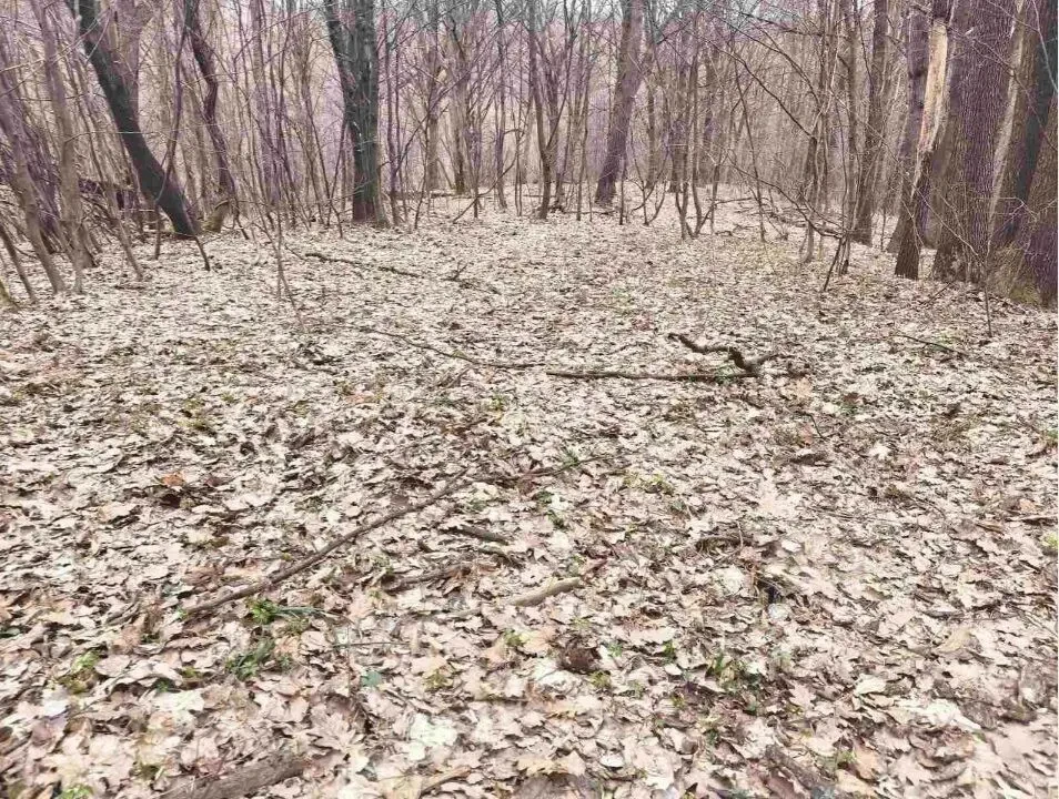 Земельна ділянка під забудову чи під інвестицію