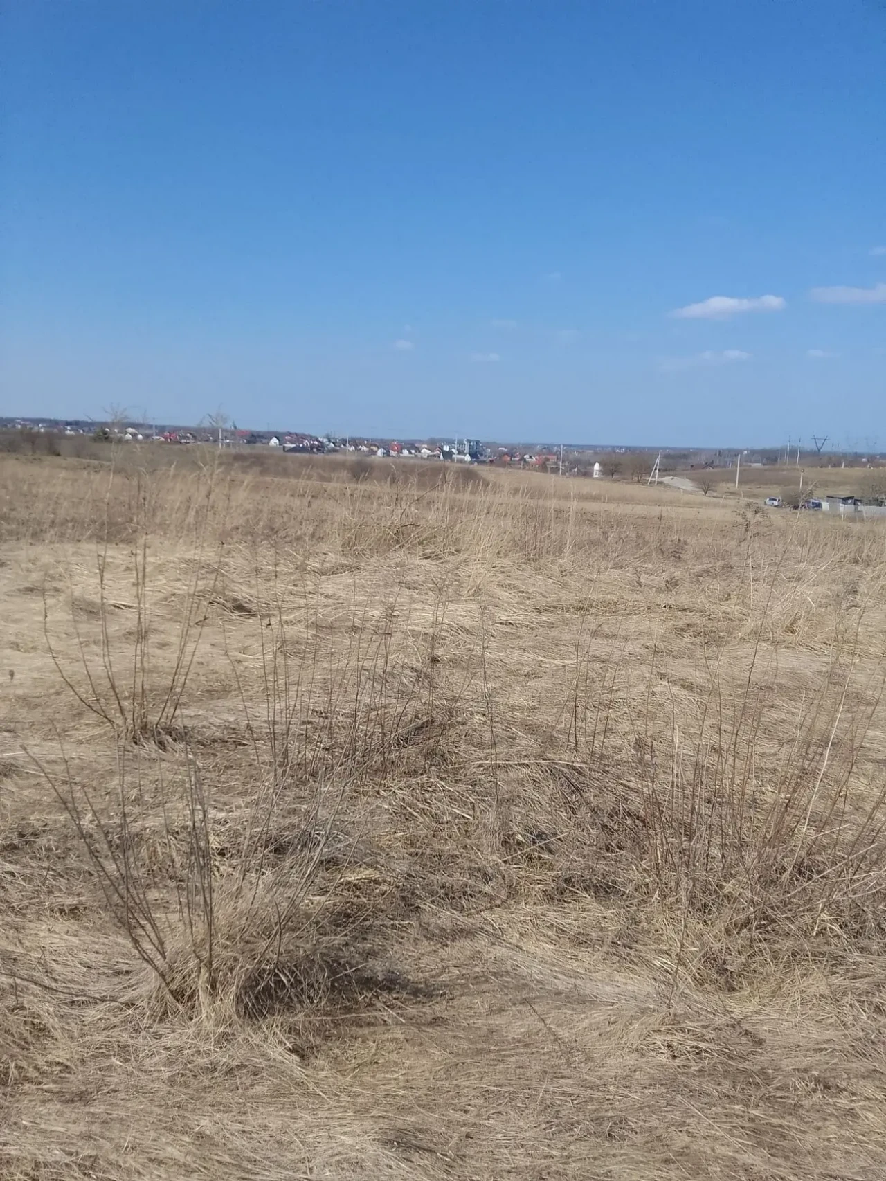 Продам земельну ділянку (с. Зоря) 6