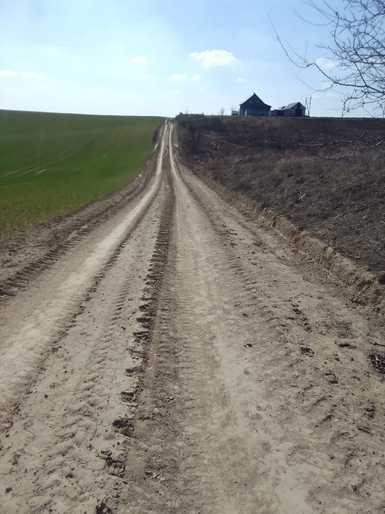 Продам земельну ділянку (с. Зоря)