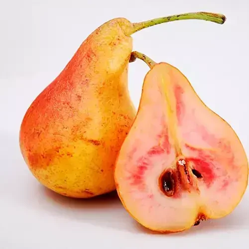 Саджанці груші Весільна (червоном'яса)