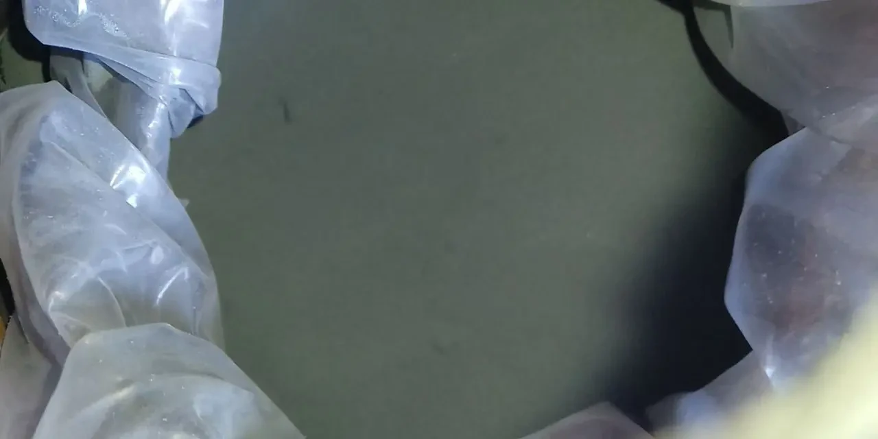 Цинковий порошок  ПР ЦНЮ 16 ,  банки по 30 кг 3