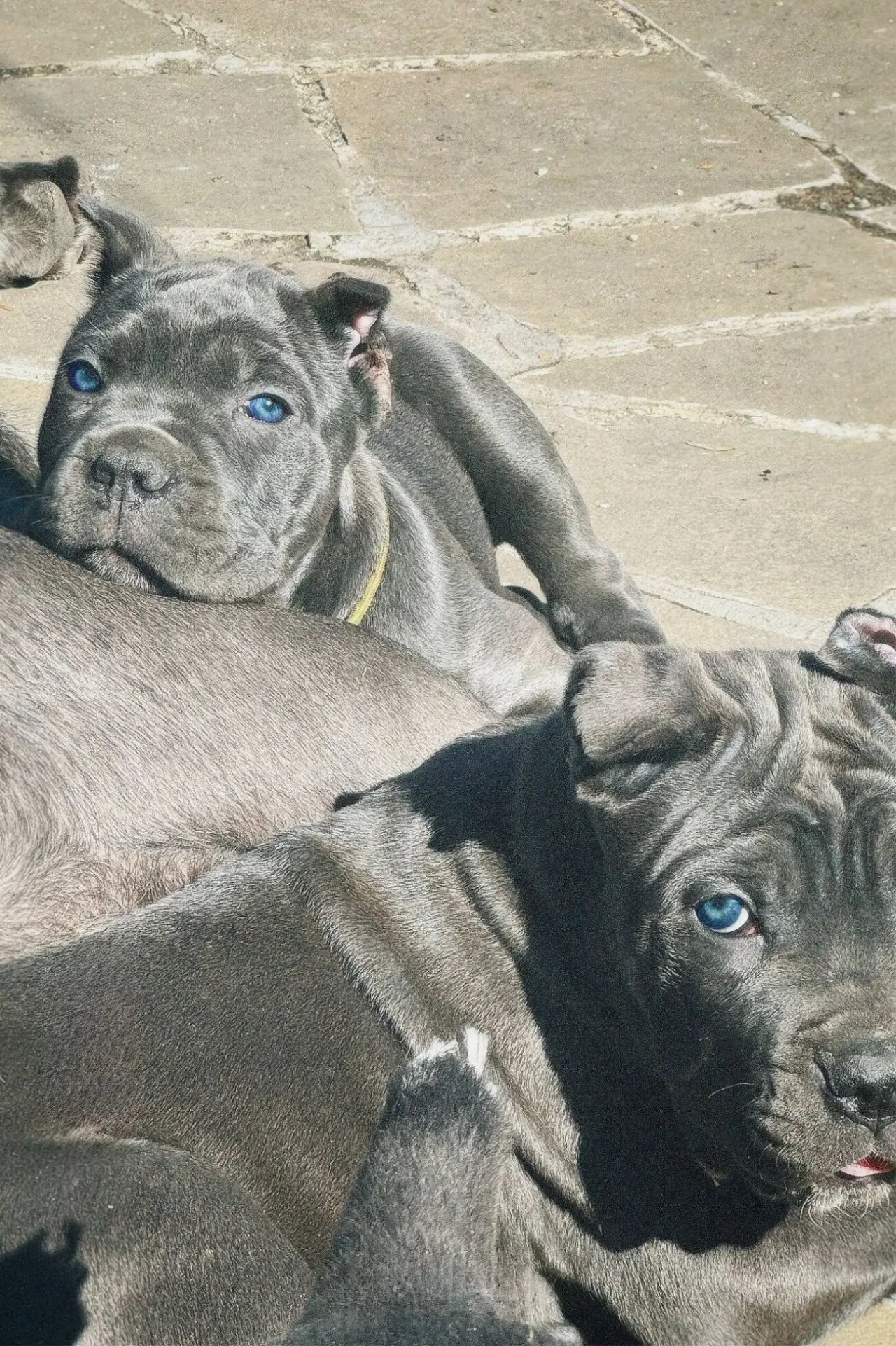 Італійські мафіозі 3