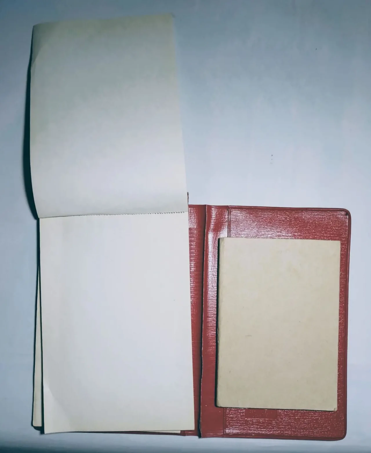 Блокнот для записей нелинованный и алфавитка клетка, 2 блока, обложка