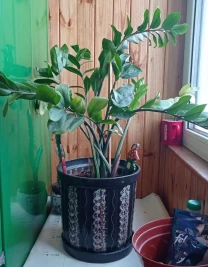 Горшок большой керамика в отличном состоянии