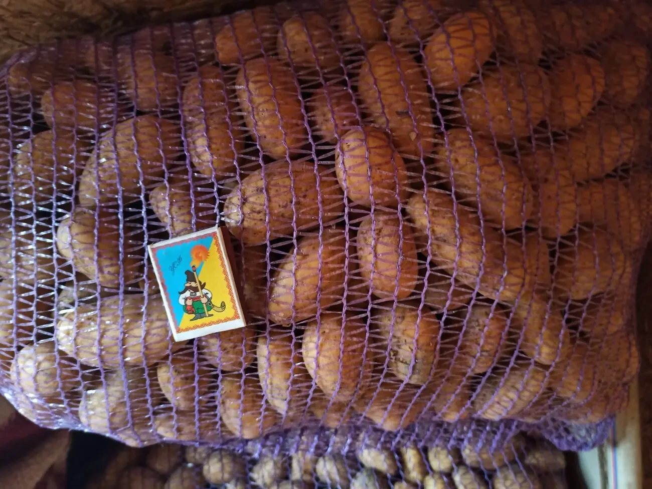 Картопля оптом товарна і насіння сорту Гранада, Пікассо, Невська 3